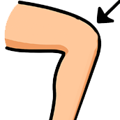 Crossword picture clue