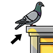 Crossword picture clue