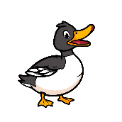 Crossword picture clue