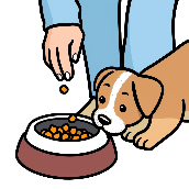 Crossword picture clue