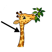 Crossword picture clue