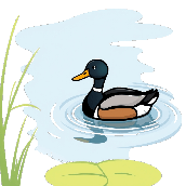 Crossword picture clue