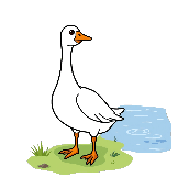 Crossword picture clue