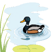 Crossword picture clue
