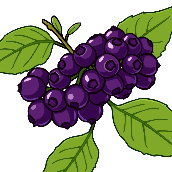 Crossword picture clue
