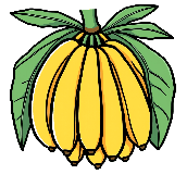 Crossword picture clue