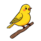 Crossword picture clue