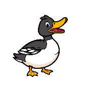 Crossword picture clue