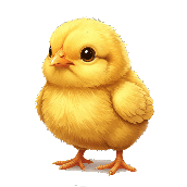 Crossword picture clue