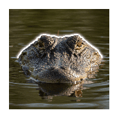 Crossword picture clue