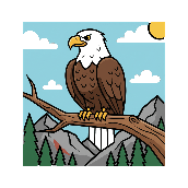 Crossword picture clue